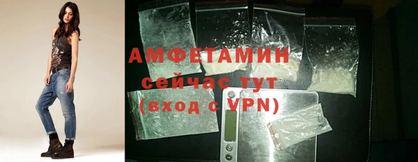 прущие грибы Новодвинск