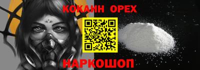 дмт Гай