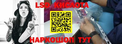 дмт Гай