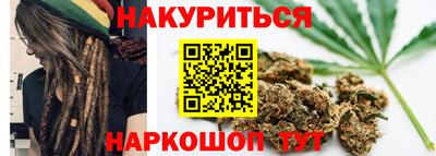 дмт Гай