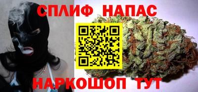 дмт Гай