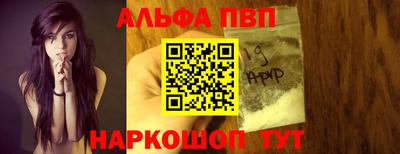 дмт Гай