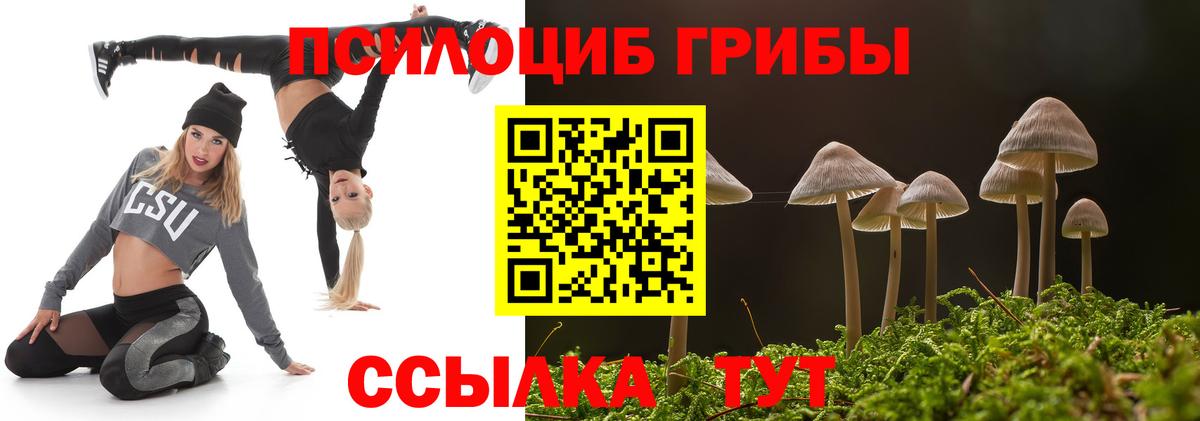 Псилоцибиновые грибы мицелий  Вход с VPN  Галлюциногенные грибы GOLDEN TEACHER  Истра 